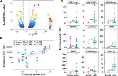 Transposable element and host silencing activity in gigantic genomes